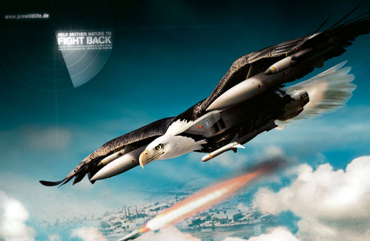 Eagle-Fighting