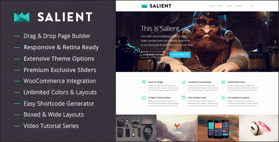 Salient - Responsive Multi-Purpose Theme